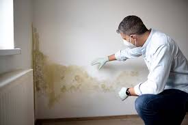 Best Residential Mold Inspection & Testing  in Mount Sinai, NY